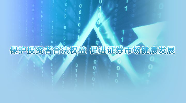 中国资本市场投资者保护报告（2021）